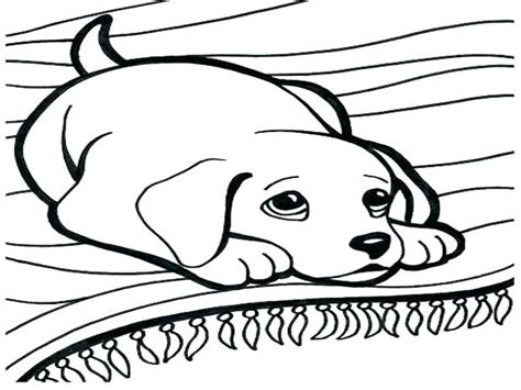 Labrador Dog Coloring Pages at GetDrawings | Free download