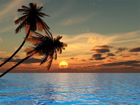 🔥 [67+] Sunset Beach Wallpapers | WallpaperSafari