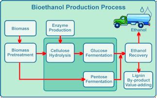 Ethanol Production via Biochemical Route