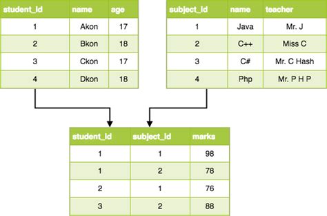 Database Models in DBMS | Studytonight