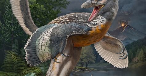 'Bizarre' long-legged bird-like dinosaur has scientists enthralled | Reuters