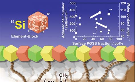 60 Years of Living Anionic Polymerization - Advanced Science News