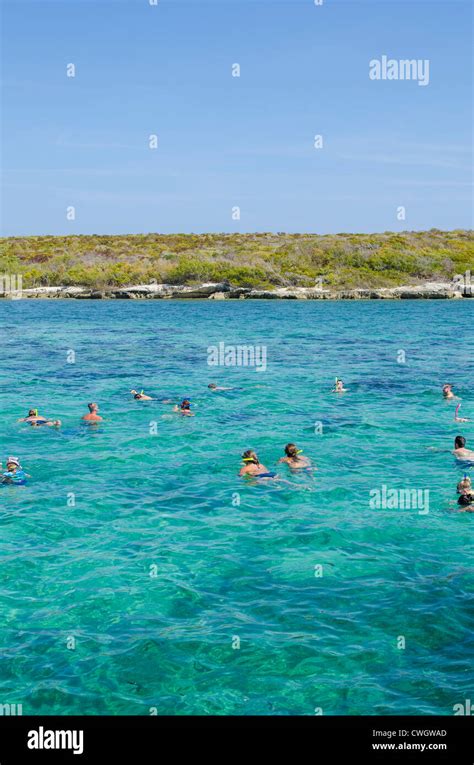 Cayo Santa Maria, Cuba. Snorkeling in Buena Vista UNESCO Biosphere Reserve, Buena Vista Bay ...