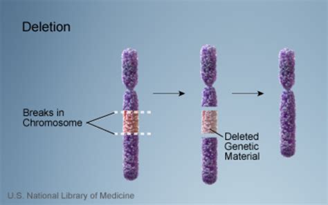 Chromosome Deletion Disorders