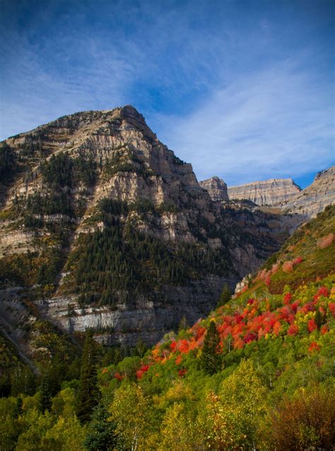 More Utah Fall Colors | Clint Losee Photography