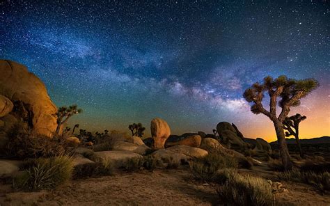 HD wallpaper: Starry Sky Desert Area Night In Joshua Tree National Park ...