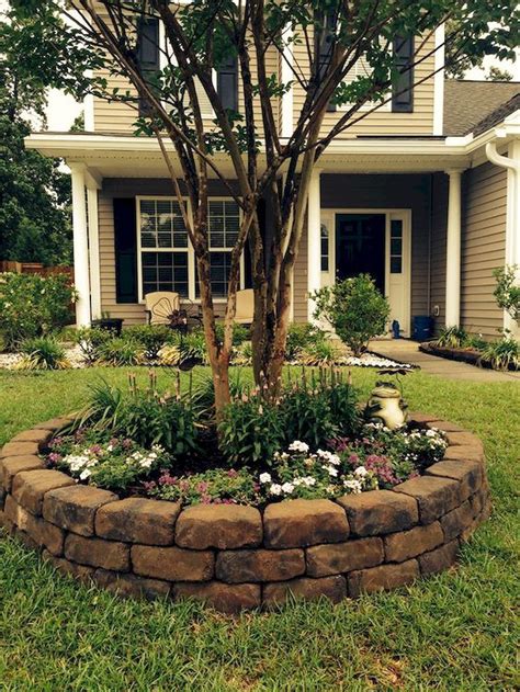 Front Yard Tree Placement: Tips And Tricks For A Beautiful And Functional Space – HomeDecorish