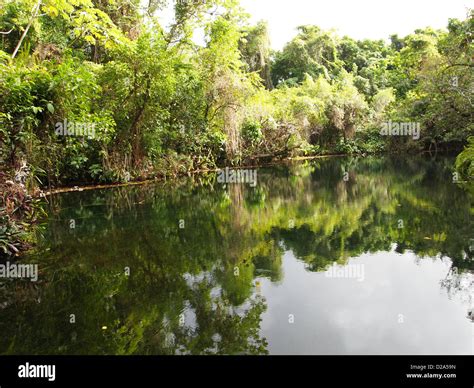 A reflection in a calm lake Stock Photo - Alamy