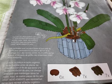 I need help with the orchid set. The last instruction is to put what looks like roots and mulch ...