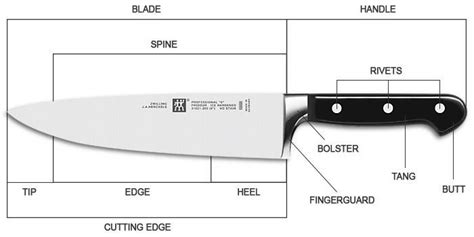 Properties of a Chef's Knife. An essential tool for any cook