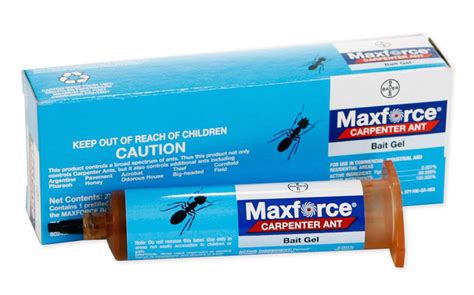 Maxforce Carpenter Ant Bait Gel — Tools and Toys