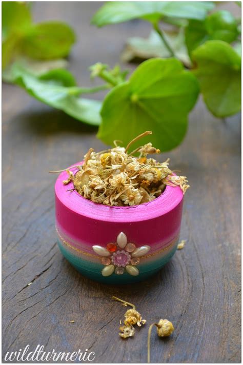 8 Top Medicinal Uses & Side Effects Of Chamomile Tea For Skin, Hair & Sleep - Wildturmeric