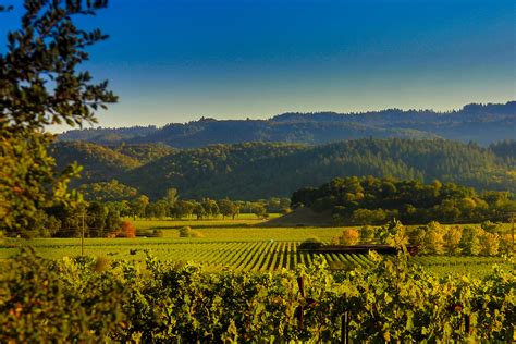 Napa Valley from Silverado Trail | The vineyards in early fa… | Flickr