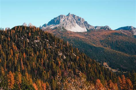 Trees covered mountain, Mountains, Trees, Autumn HD wallpaper | Wallpaper Flare