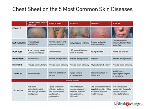 2511_5_Most_Common_Skin_Diseases_Cheat_Sheet - The Medical Xchange