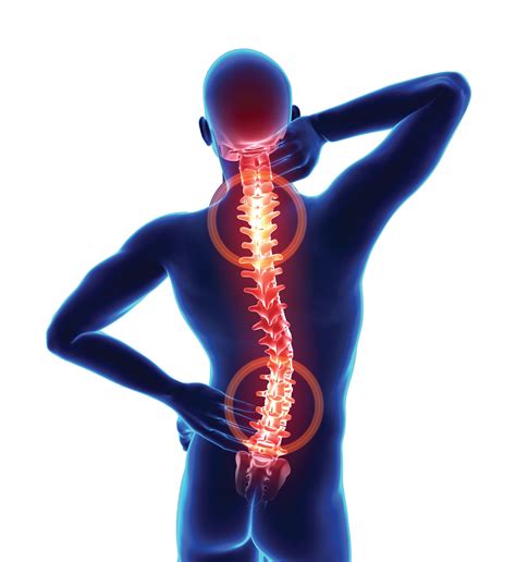 What Are Some Common Causes of Back and Neck Pain? • Sentara Martha Jefferson Magazine