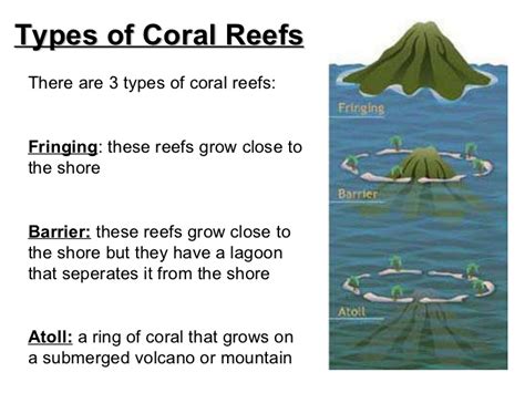 Geomania!!: Coral Reefs