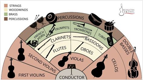 Orchestra Arrangement: How Is It Arranged? - Orchestra Central