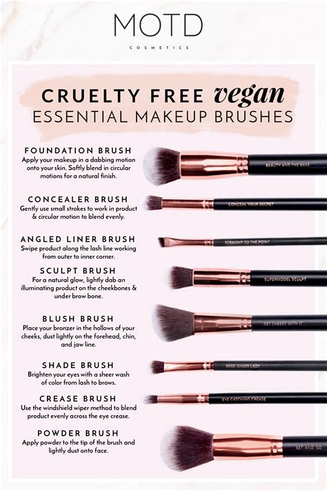 Eye Makeup Brushes Guide – Yoiki Guide