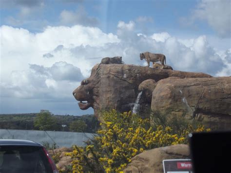 A little visit to West Midlands Safari Park Family Days Out, Big Family ...