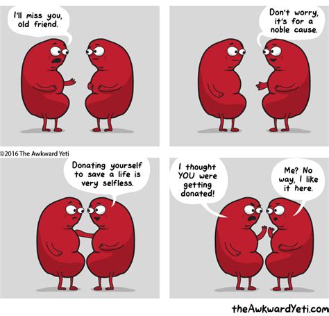 The Awkward Yeti » Characters » Kidney