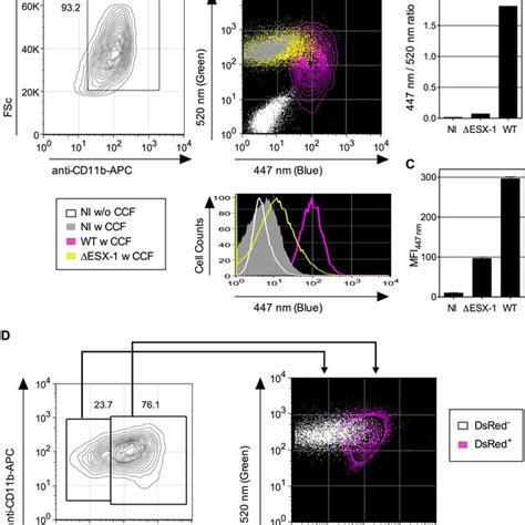 Mtb-mediated phagosome disruption in different phagocyte types,... | Download Scientific Diagram