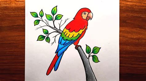 Parrot Drawing Step by Step || How to Draw Parrot || Parrot Drawing Colour. - YouTube