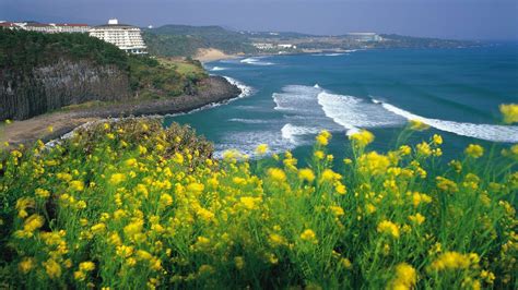 7 Top Attractions in Jeju Island - South Korea, You must Visit ! | Airpaz Blog