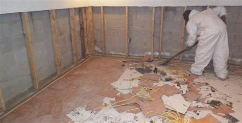 Basement Mold Removal | Basement Black Mold Remediation