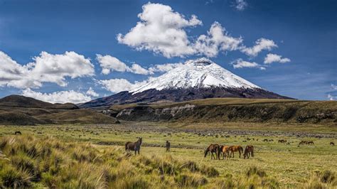 Cotopaxi National Park, Cotopaxi, Ecuador | National parks, Cool places to visit, Travel