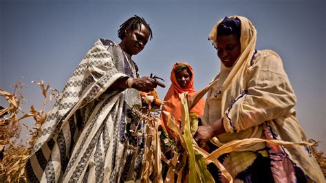 How Low-Tech Farming Innovation Can Make African Farmers Climate-Resilient