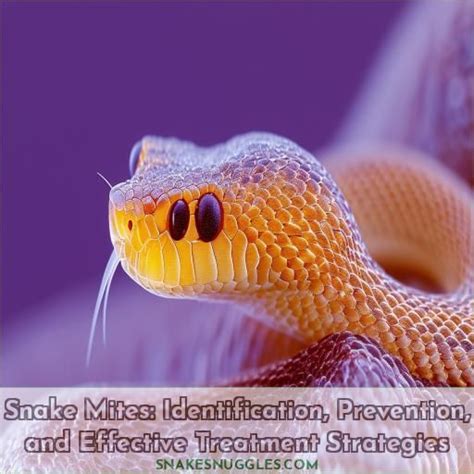 Snake Mites: Identification, Prevention, and Effective Treatment Strategies