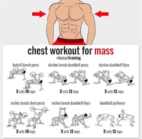 Pin by Inschka on //:WORKOUT & FOOD TIPS:// | Chest workout for mass, Muscle mass workout, Chest ...