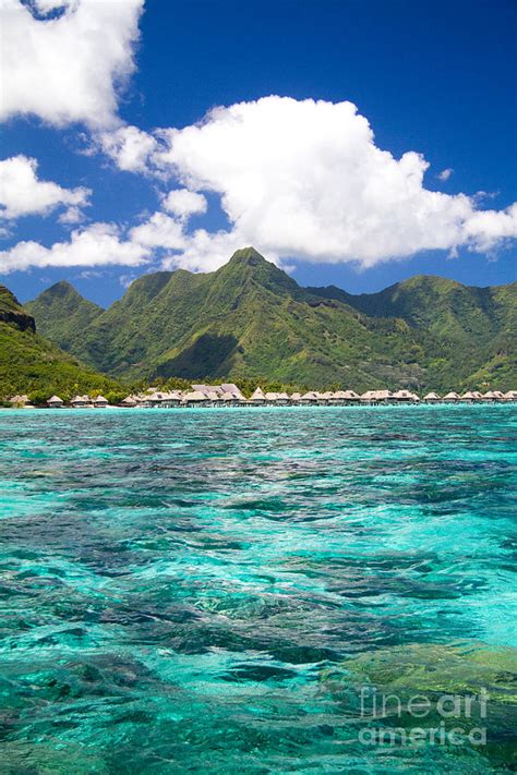 Moorea Lagoon No 2 Photograph by David Smith - Fine Art America