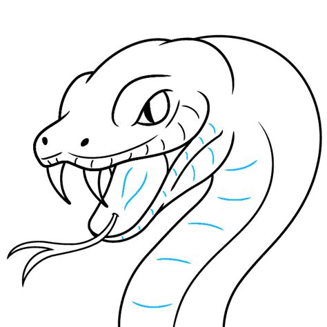 How to Draw a Snake Face and Head - Really Easy Drawing Tutorial