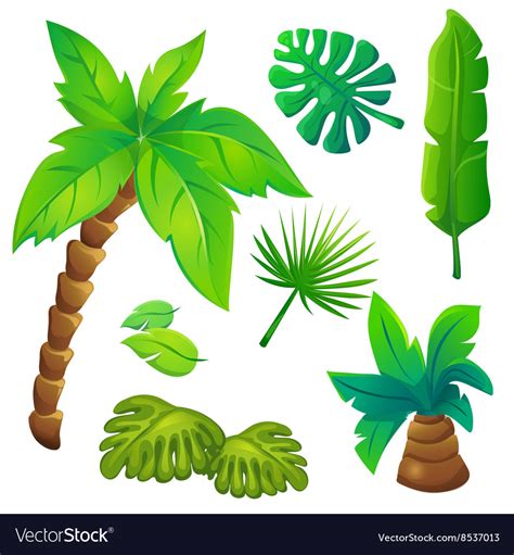 Stylized jungle trees set Royalty Free Vector Image