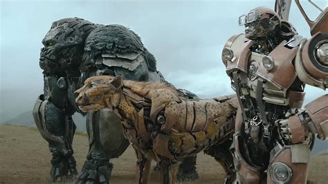 Transformers: Rise Of The Beasts: Autobots, Maximals, Predacons, Terracons, And Unicron?