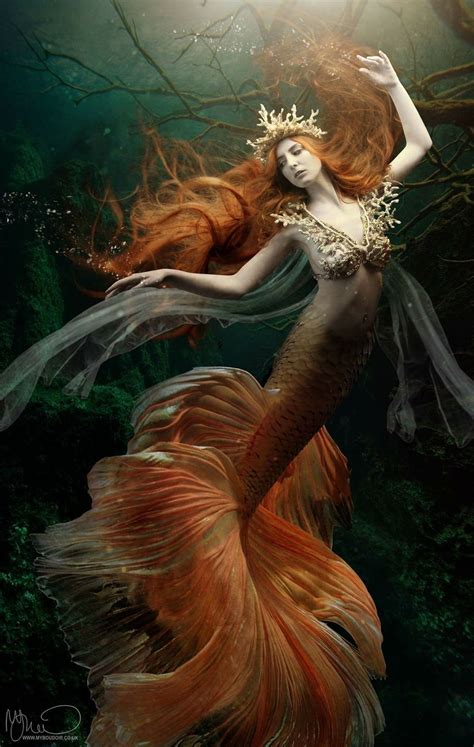 Beautiful Mermaid Art