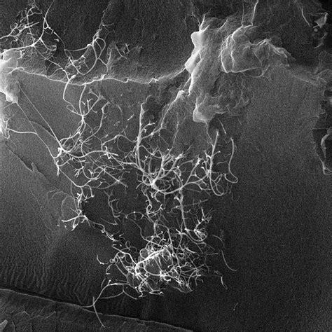 Graphene Nanotubes For Industrial Applications