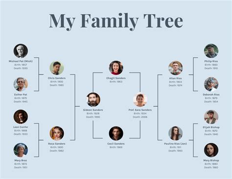 Simple Family Tree Diagram Flash Sales | dakora.com.co