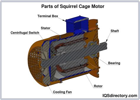 AC Motor: What Is It? How Does It Work? Types & Uses