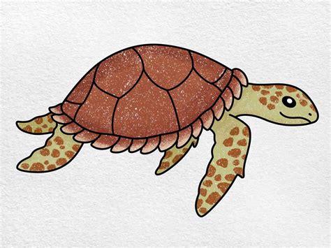 Hawksbill Turtle Drawing - HelloArtsy