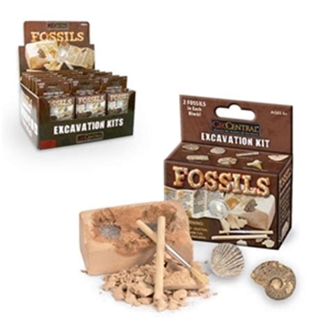 Fossils Excavation Dig Kit