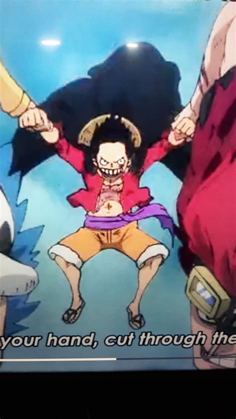 Never pause anime openings they say : r/MemePiece