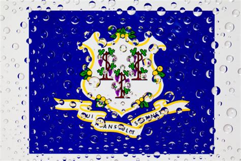 Royalty Free Connecticut State Symbols Pictures, Images and Stock Photos - iStock