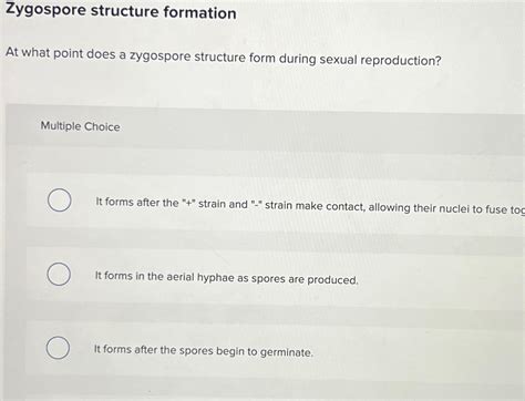 Solved Zygospore structure formationAt what point does a | Chegg.com