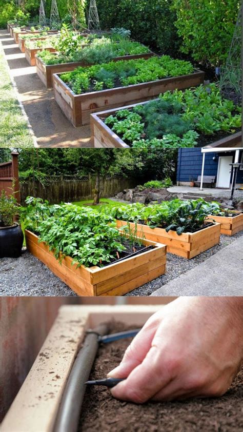 Raised Bed Garden Ideas Diy