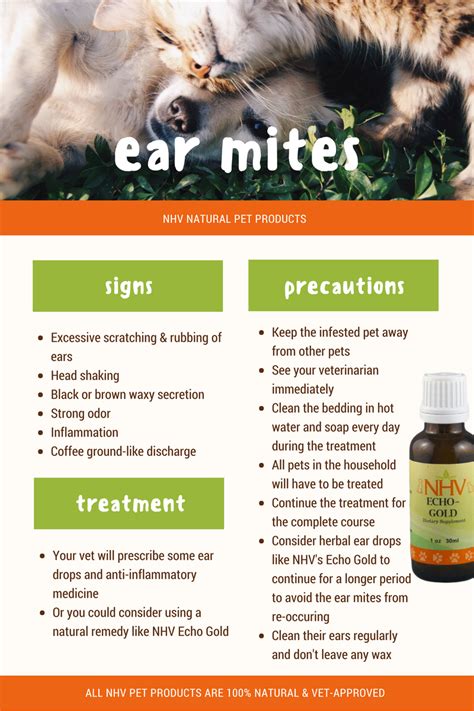 Veterinary Treatment For Ear Mites In Cats