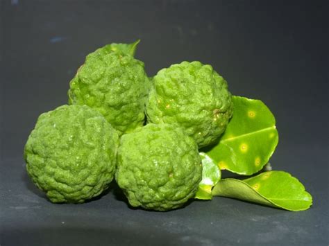 Bergamot Fruit Free Stock Photo - Public Domain Pictures