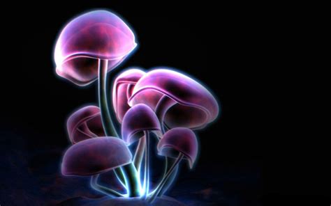 Neon Mushroom Wallpapers - Top Free Neon Mushroom Backgrounds - WallpaperAccess